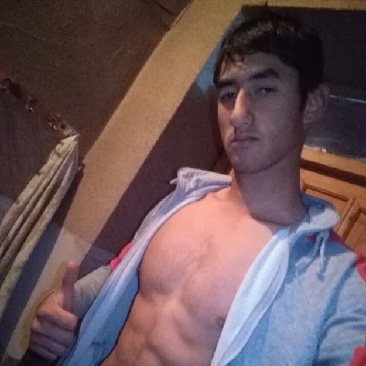  18684307  Musofir, 24 ,    