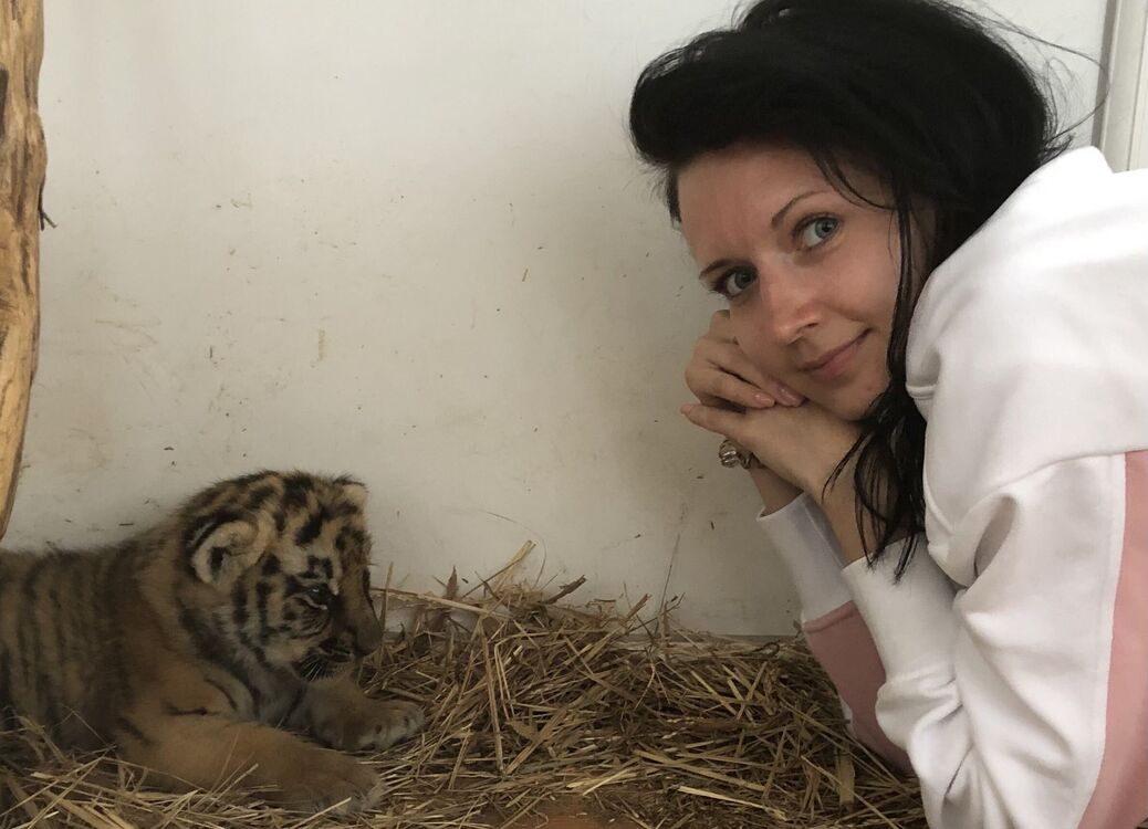 ���������� ������, ���� ������� �������, 38 ���, ������������ ��� ����� � ���������, c�������� ���������