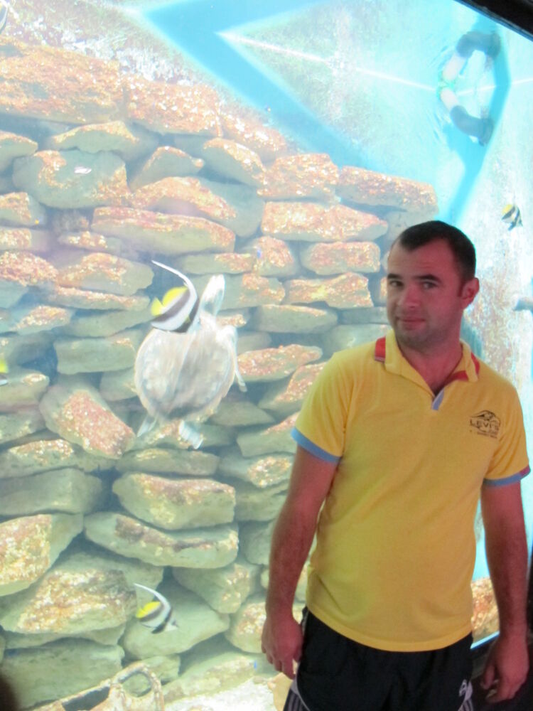 ���� 4894327 ������� Perldog, 40 ���, ���� ���������� � ������