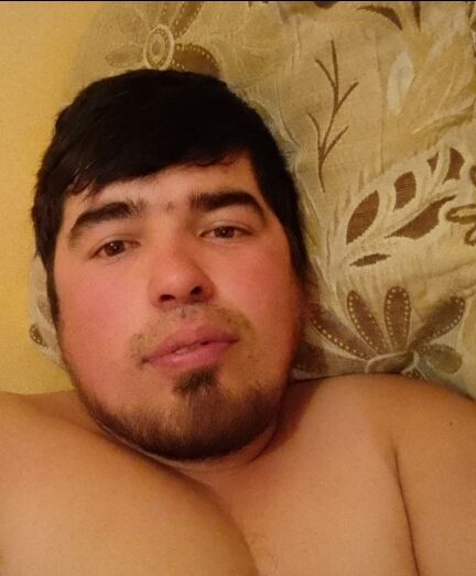  47834607  , 31 ,    