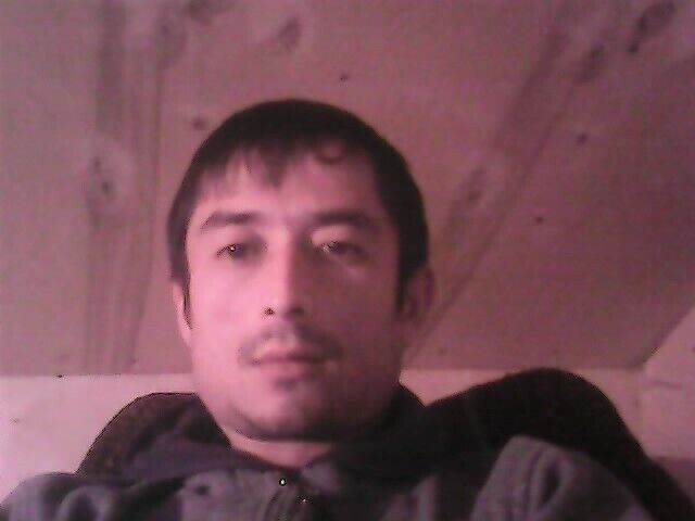  24178977  , 48 ,    