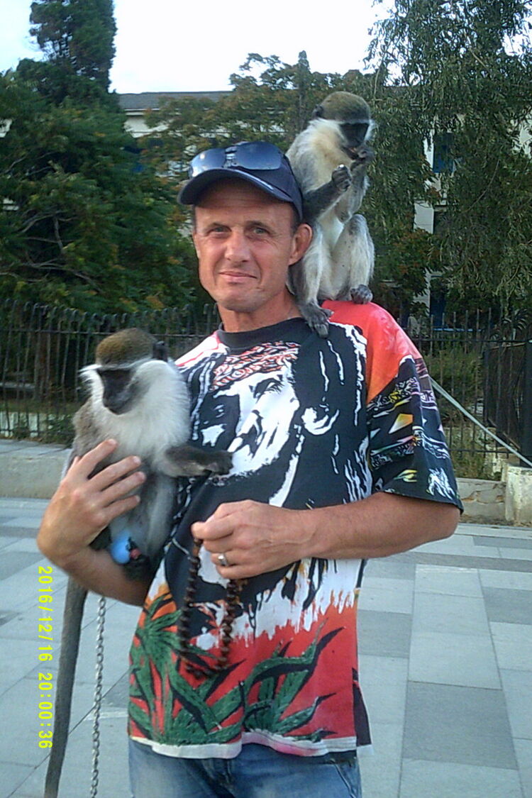  ,   , 55 ,  