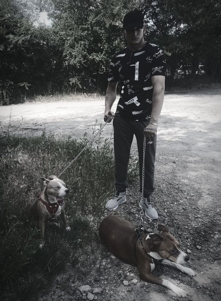 ���������� ���������, ���� ����� ���������, 22 ����, ������������ ��� ������, ����� � ���������