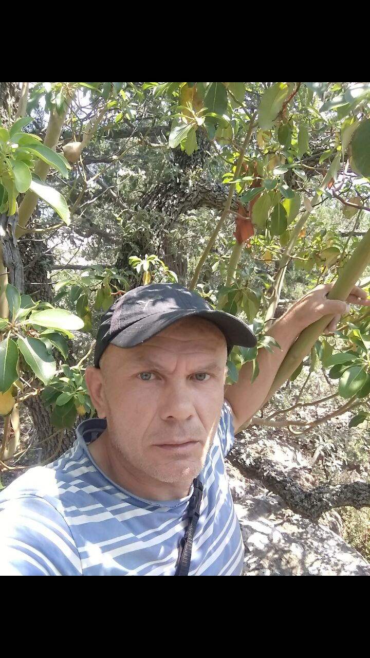  ,   , 50 ,   ,   