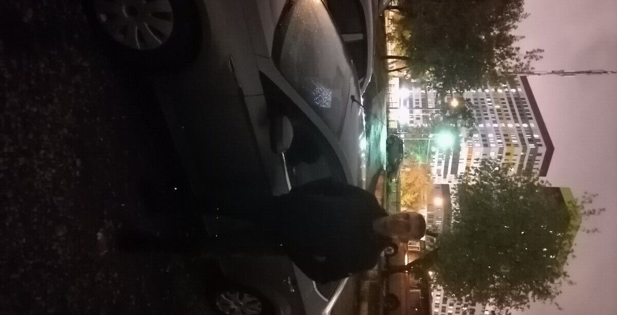 ���������� ������, ���� ������� �������, 37 ���, ������������ ��� ������, ����� � ���������, c�������� ���������