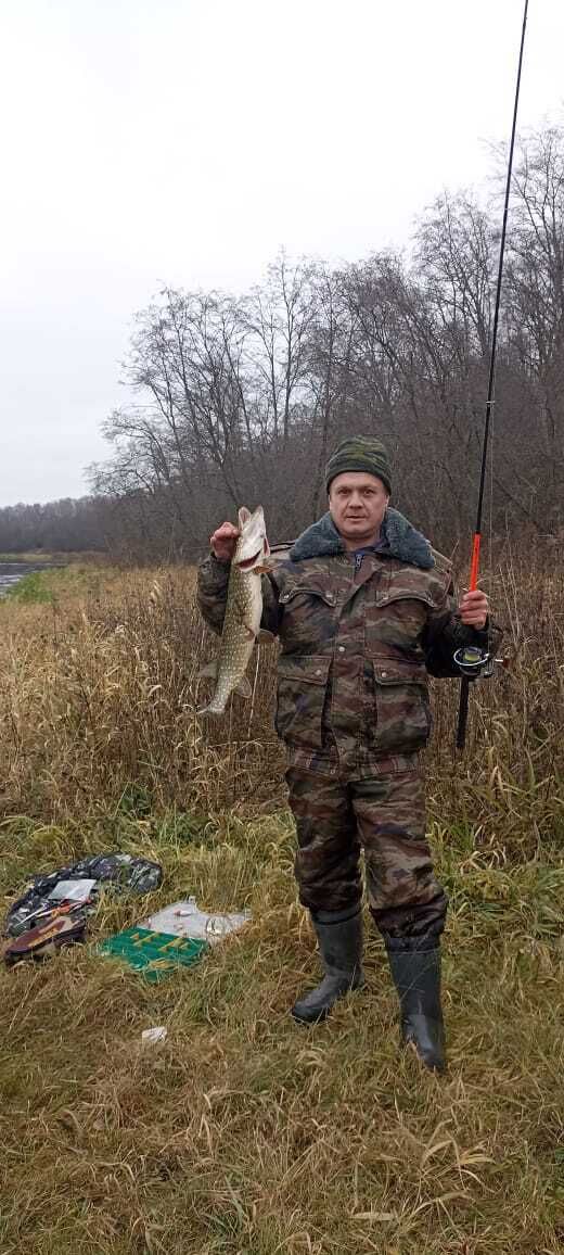 ���� 46039427 ������� �����, 46 ���, ���� ���������� � ������