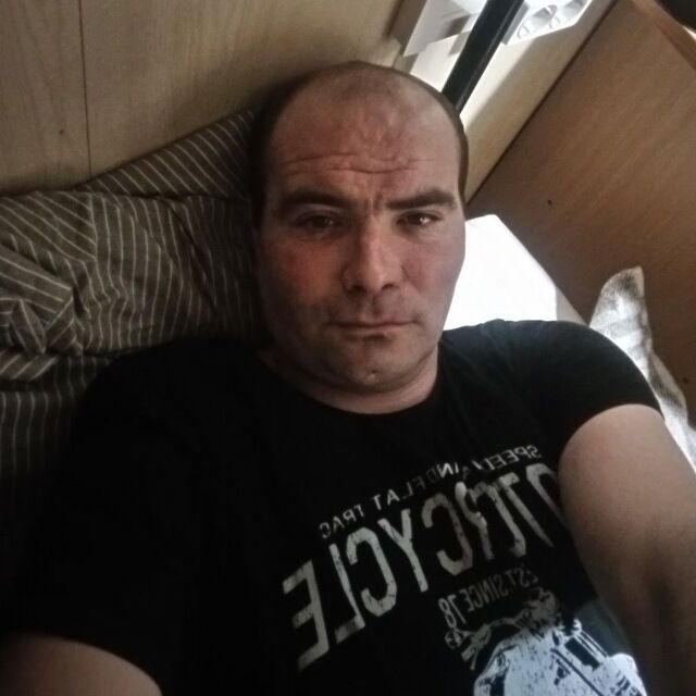  52181677  , 39 ,    