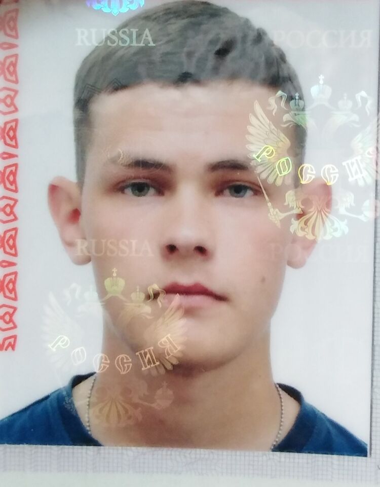  29682187  , 24 ,    