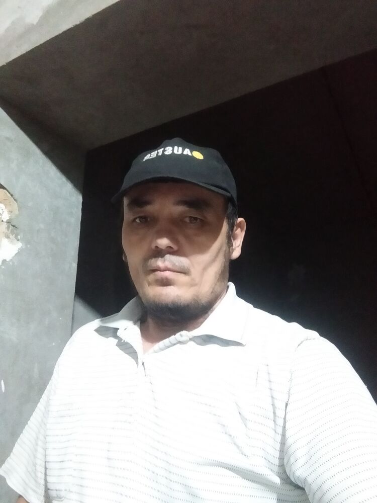  42143587  , 43 ,    