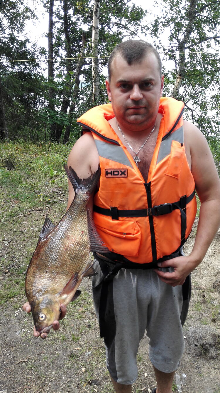 ���������� ������, ���� ������� �����, 42 ����, ������������ ��� ������, ����� � ���������