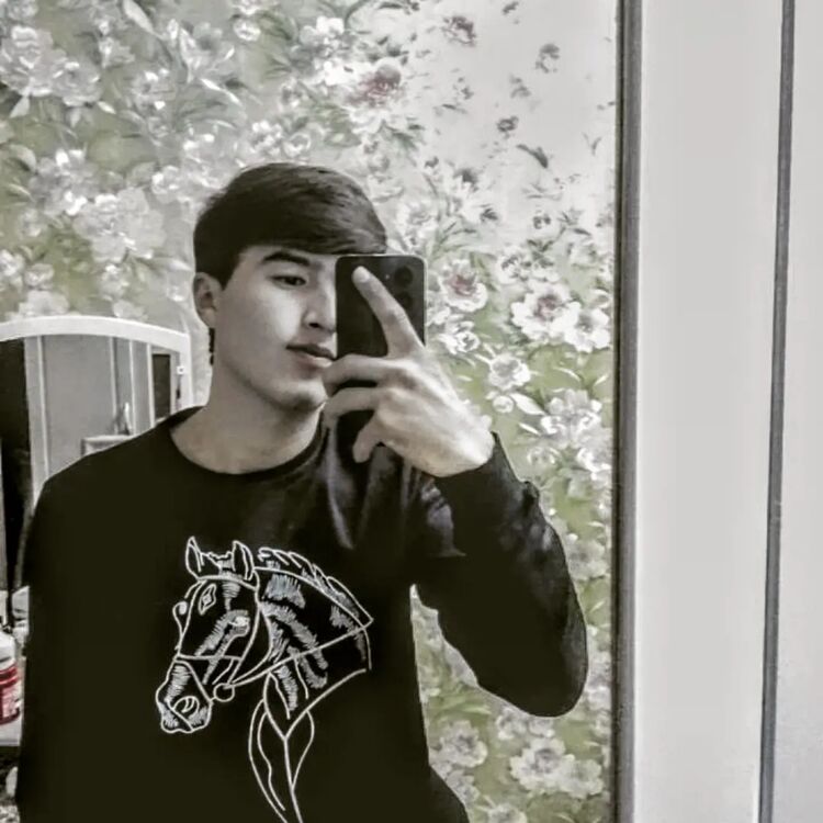 ���� 49705087 ����� �����, 20 ���, ���� ���������� � ������