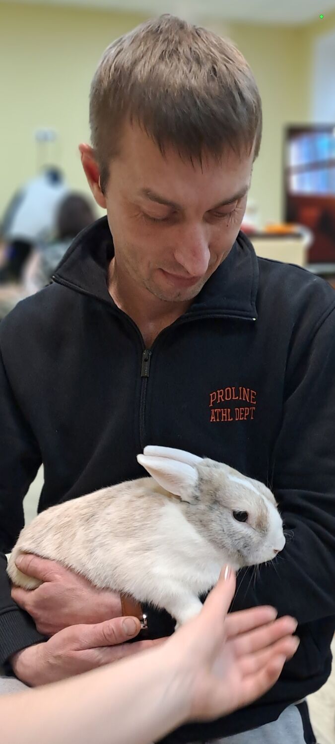  ,   , 41 ,   