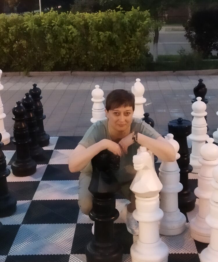  53848917  , 45 ,    