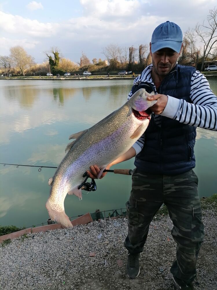  36177307  Aruk, 41 ,    Rome