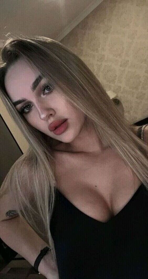  52956437  , 29 ,    