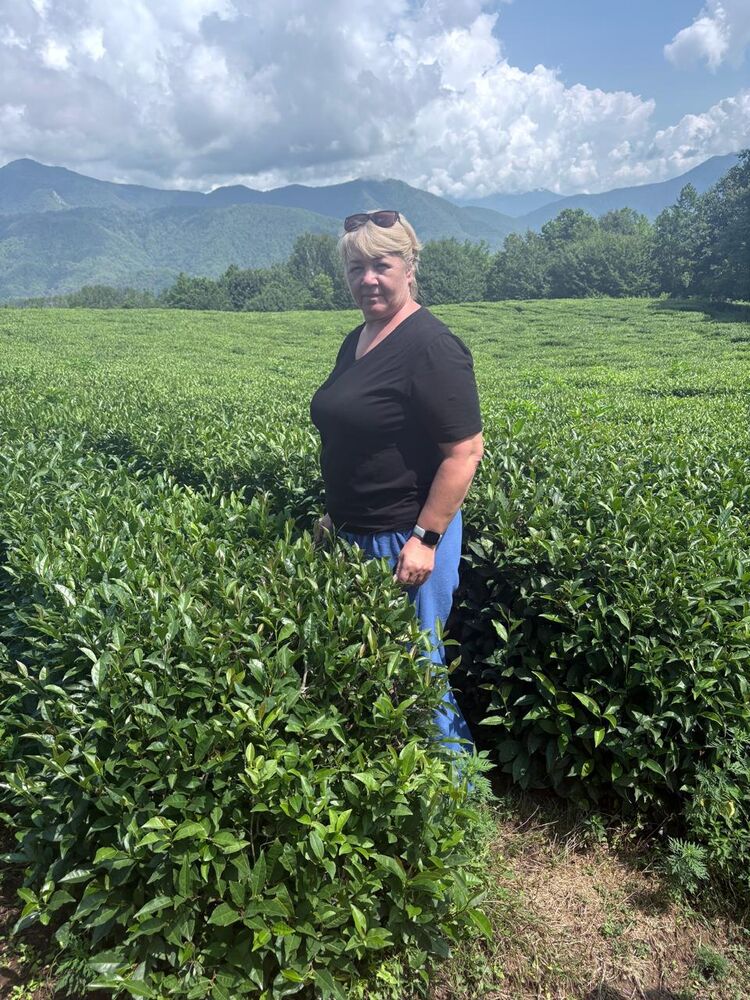 ���� 53611287 ������� ������, 56 ���, ���� ���������� � ����������