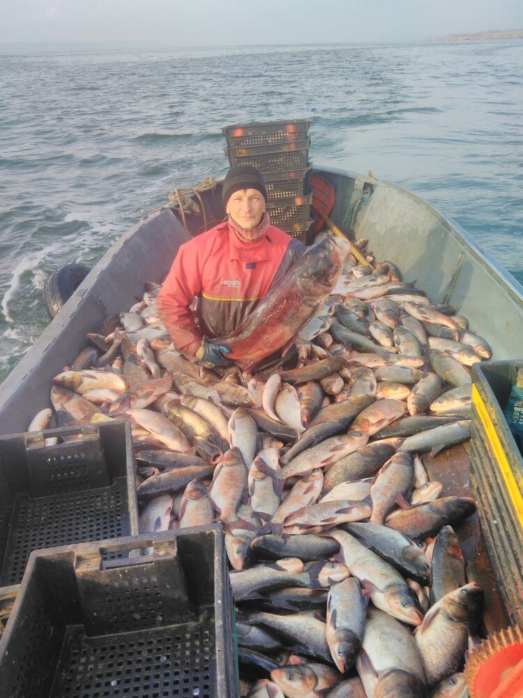 ���������� ������, ���� ������� �������, 48 ���, ������������ ��� ������, ����� � ���������, c�������� ���������