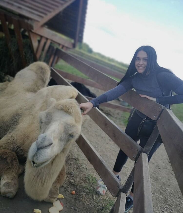  ,   , 29 ,   c 