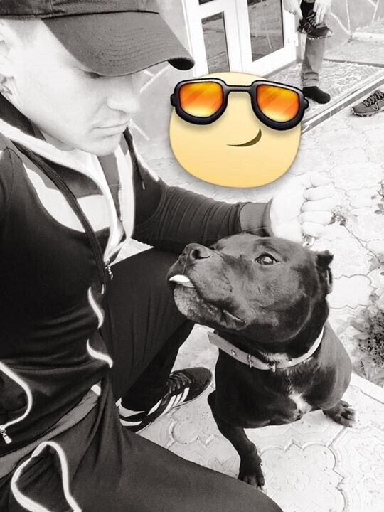 ���������� ������, ���� ������� ����, 36 ���, ������������ ��� ����� � ���������, c�������� ���������