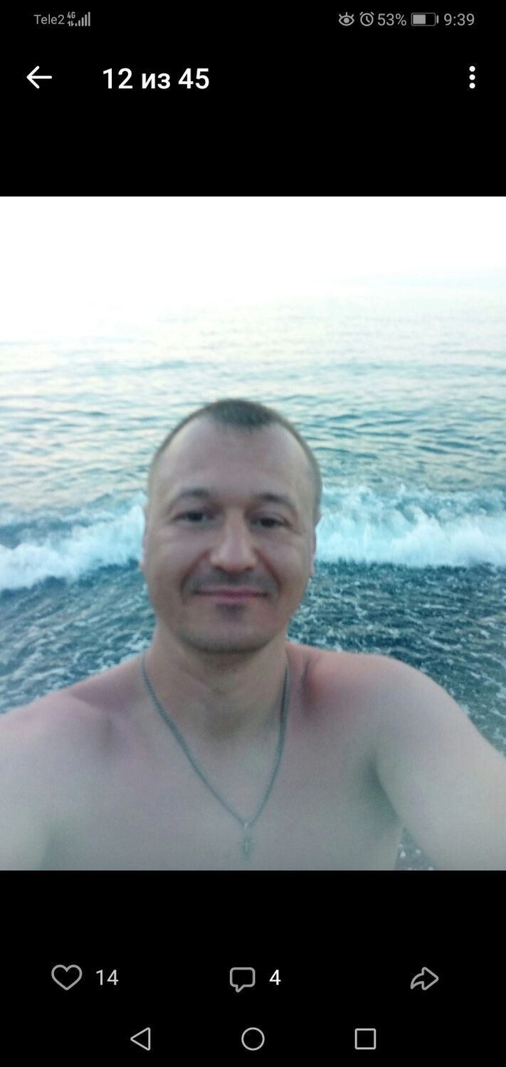  45509457  , 40 ,     