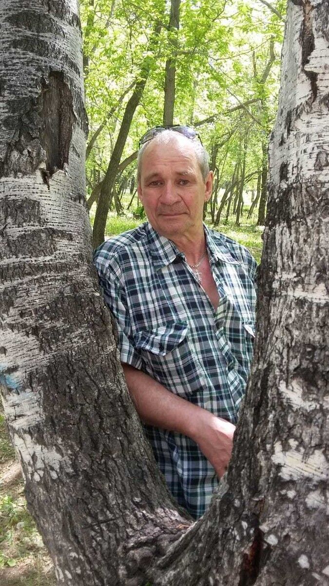  ,   Dima, 66 ,   ,   , c 