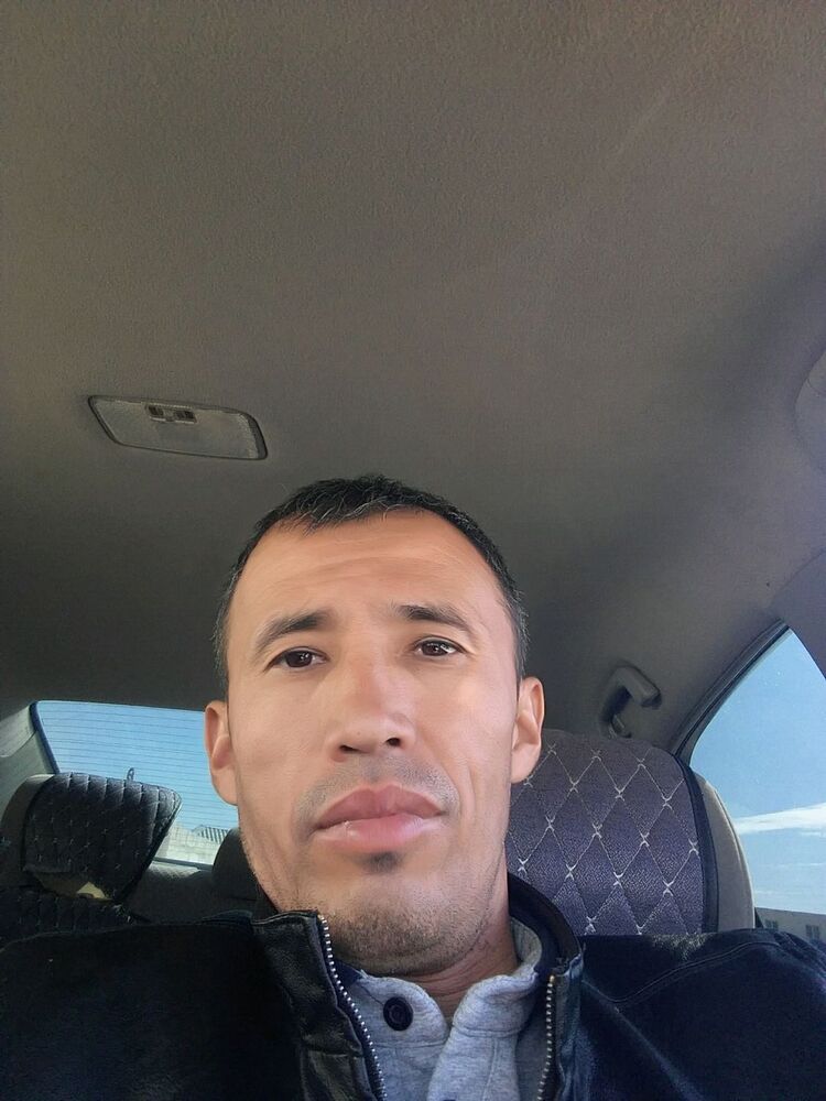  24570137  , 43 ,    