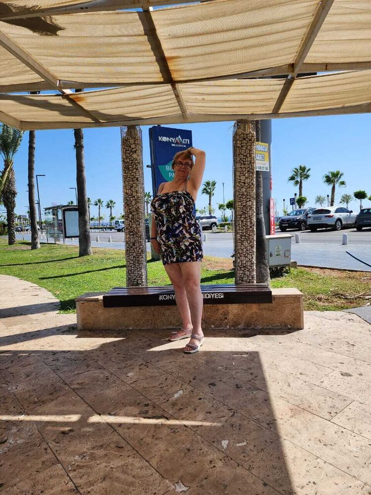  53765667  , 62 ,    -