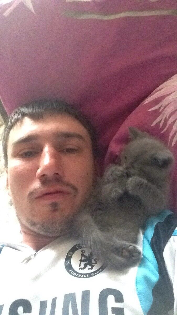 ���������� ������, ���� ������� ���������, 38 ���, ������������ ��� ������, ����� � ���������, c�������� ���������