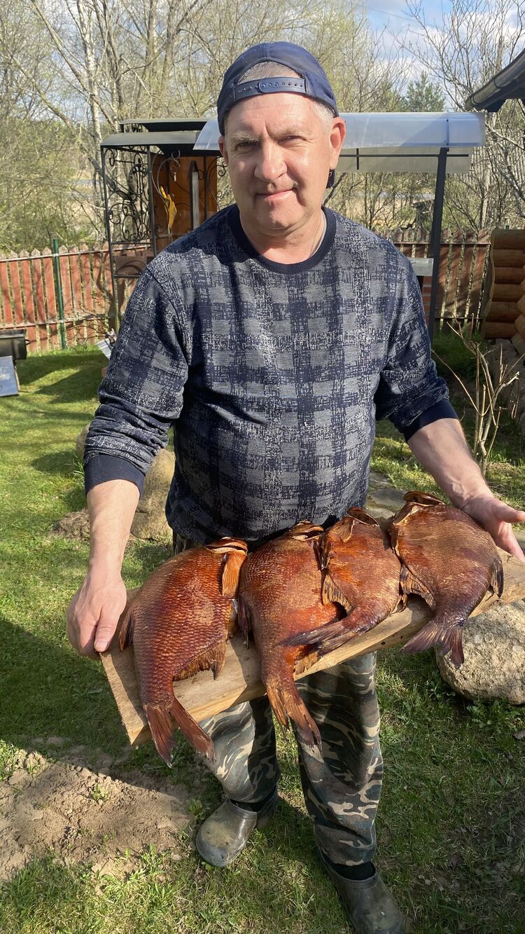  54659337  , 55 ,    -