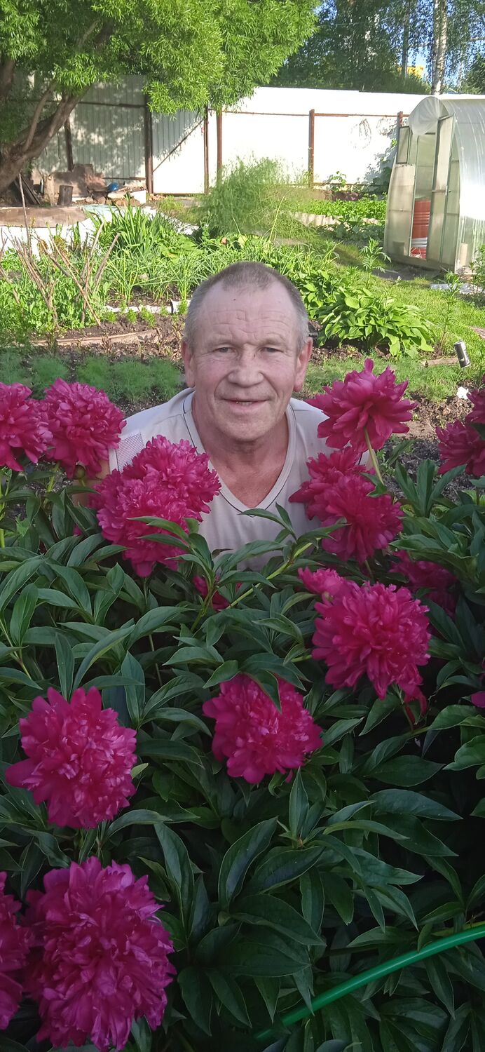 ���������� ��������, ���� ������� ���������, 63 ����, ������������ ��� ������, ����� � ���������