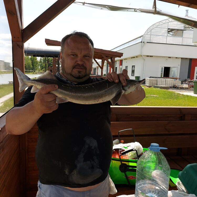 ���� 43593977 ������� ������, 45 ���, ���� ���������� � ������