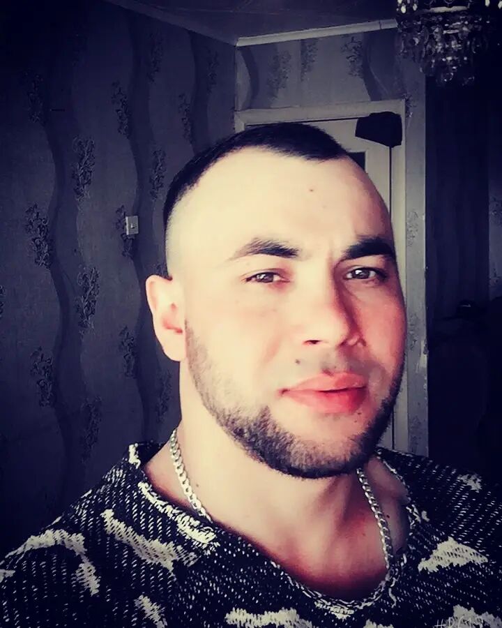  43065567  , 31 ,    