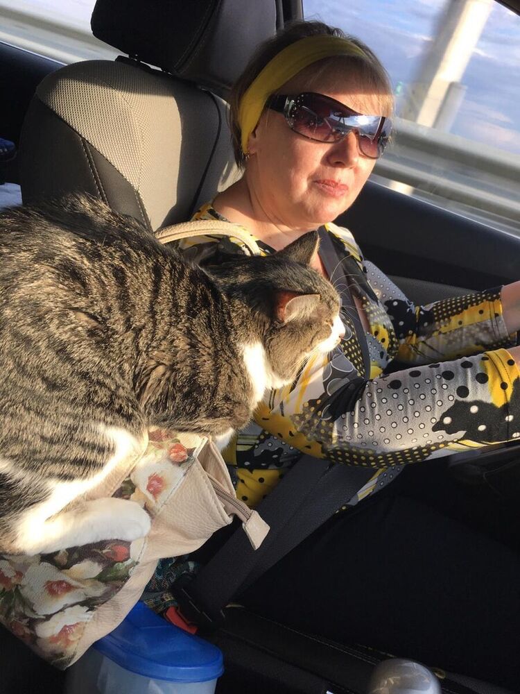 ���������� ������, ���� ������� ������, 58 ���, ������������ ��� c�������� ���������