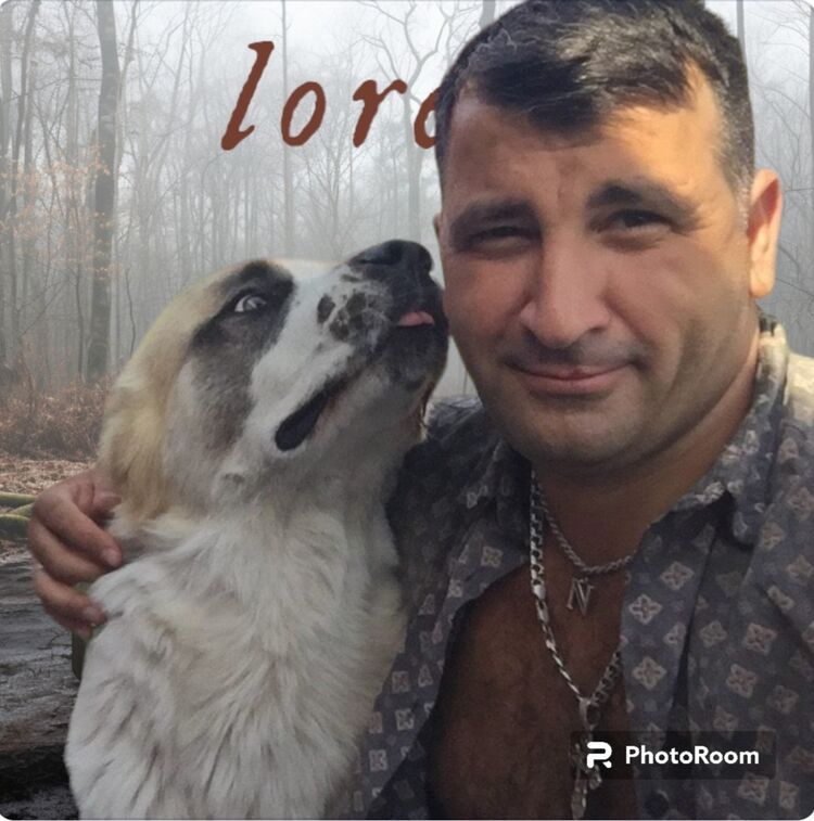  ,   , 42 ,   ,   , 
