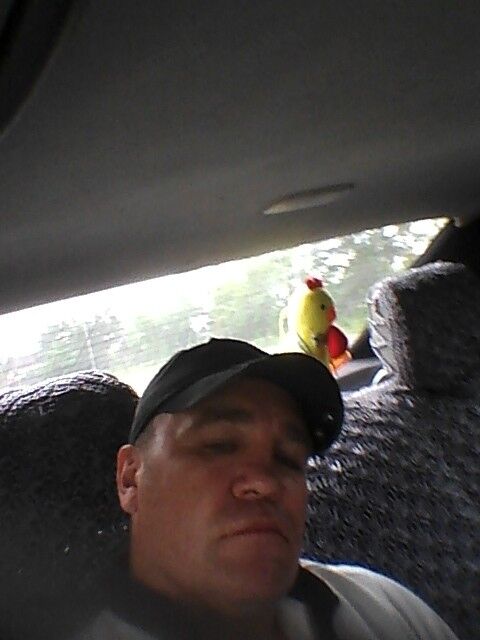 ���� 16815357 ������� �����, 48 ���, ���� ���������� � �������