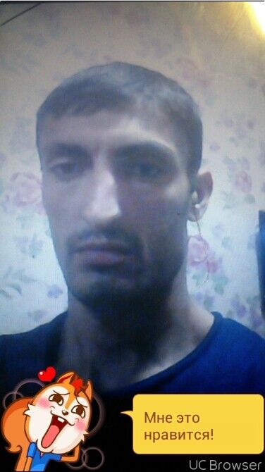  8495417  , 42 ,    