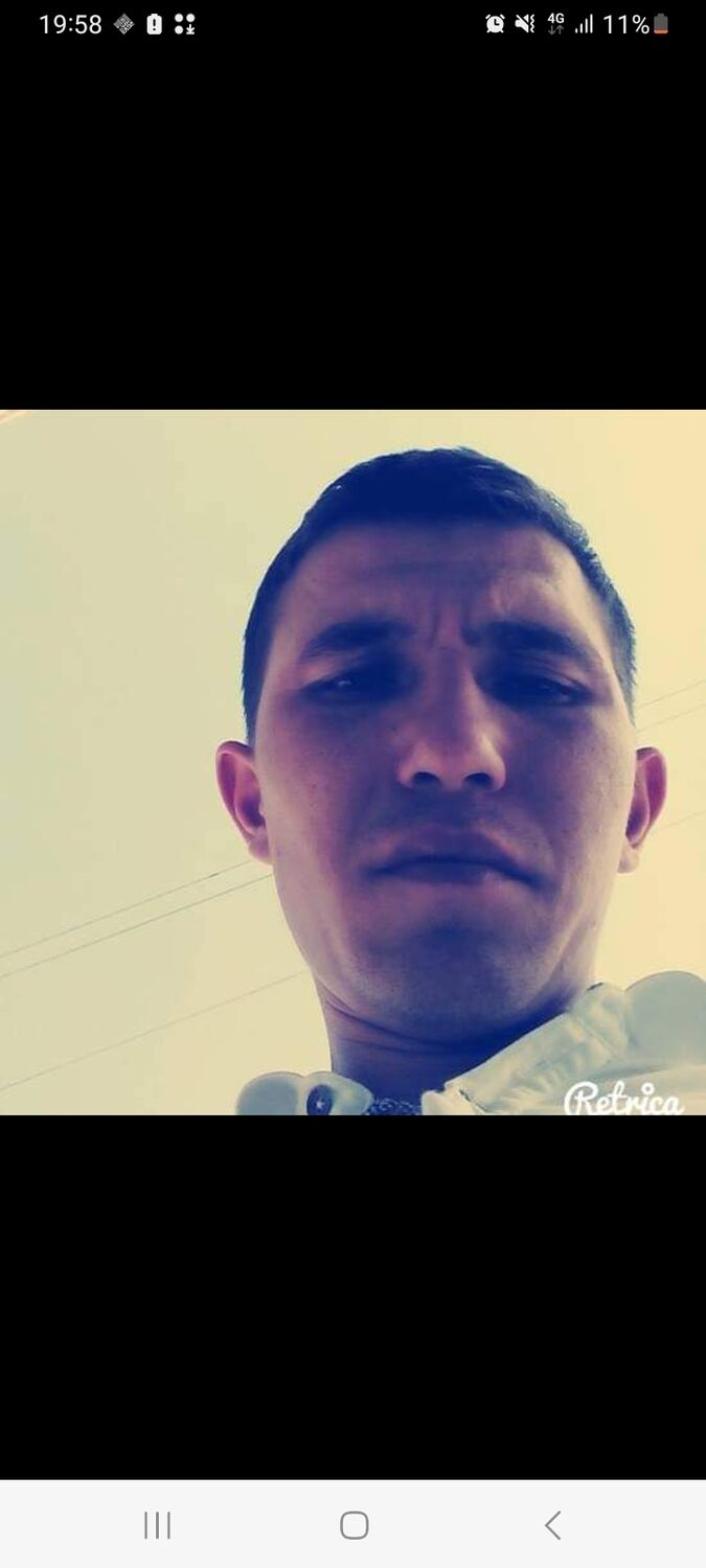  36517437  , 31 ,    