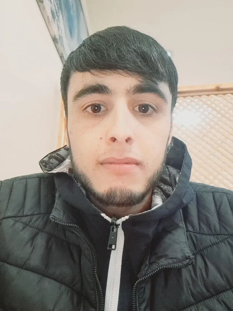  33029237  , 24 ,    