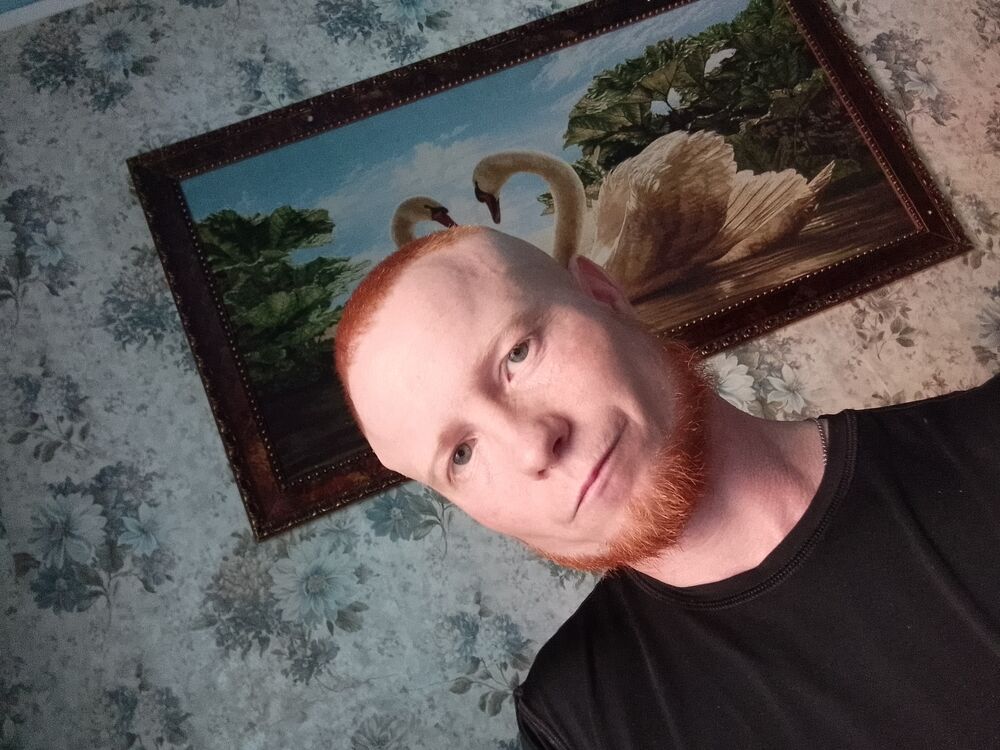 ���� 41947177 ������� ����, 35 ���, ���� ���������� � �������