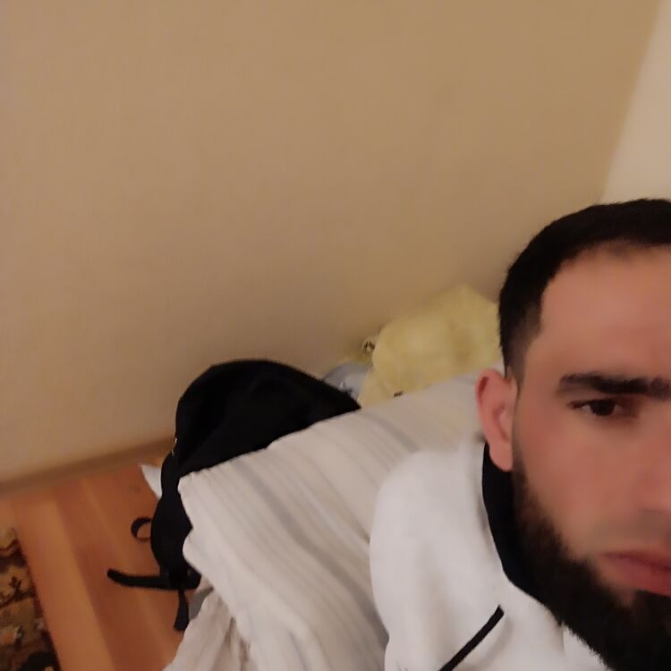 ���� 40743817 ������� ������, 28 ���, ���� ���������� � ����������