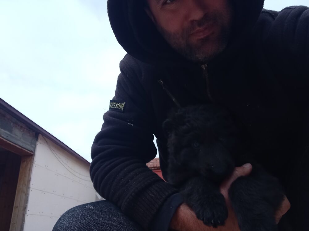  ,   , 39 ,   ,   