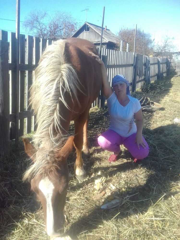 ���������� ����, ���� ������� ������, 41 ���, ������������ ��� ������, ����� � ���������