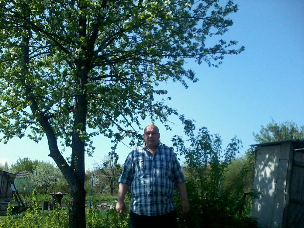 ���� 20888427 ������� ������, 48 ���, ���� ���������� � ��������