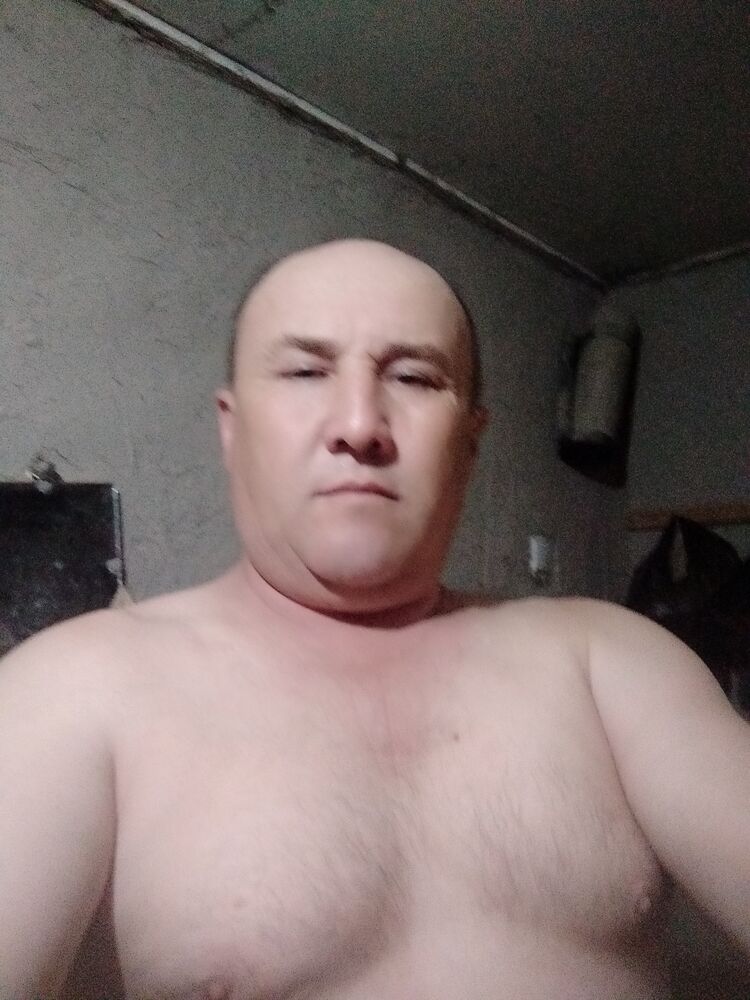  33437337  , 55 ,    