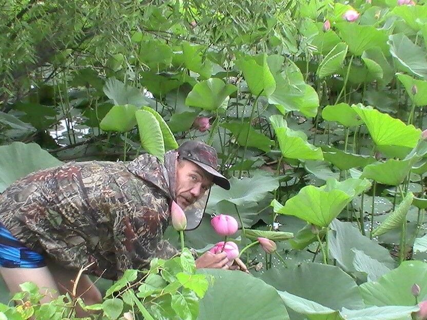  ,   , 56 ,   
