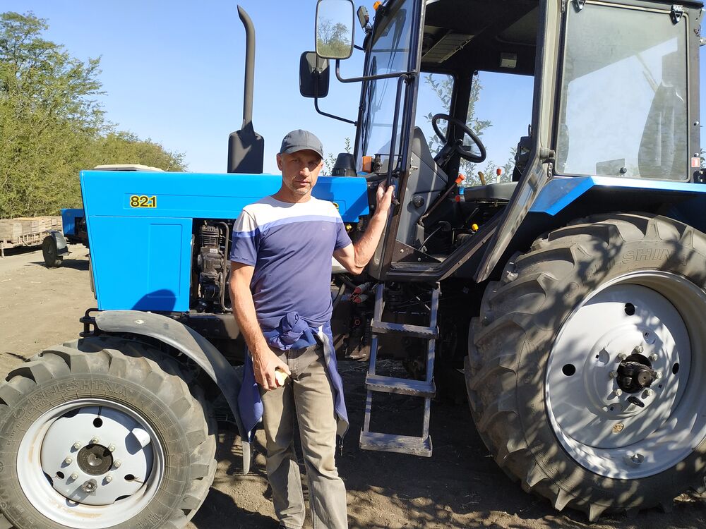 ���� 50204197 ������� ������, 43 ����, ���� ���������� � �������