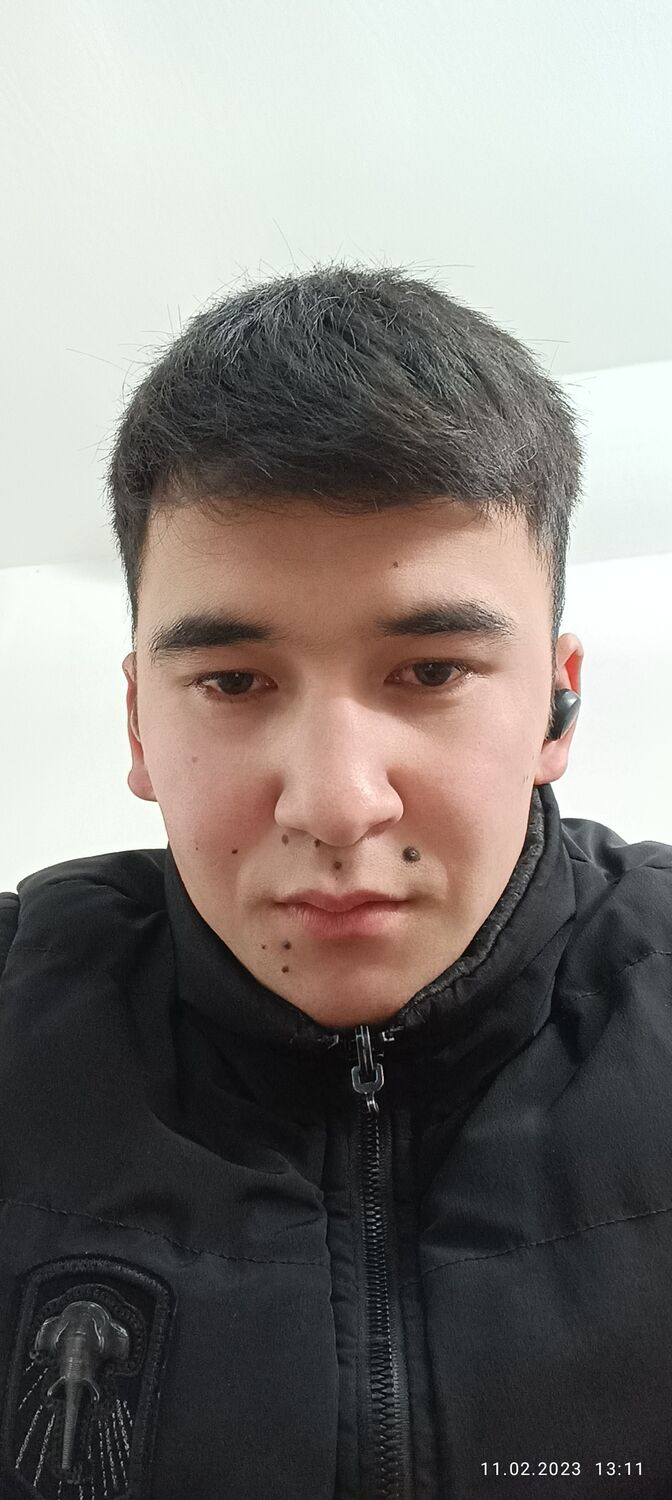 ���� 33144787 ����� ��������, 24 ����, ���� ���������� � �������