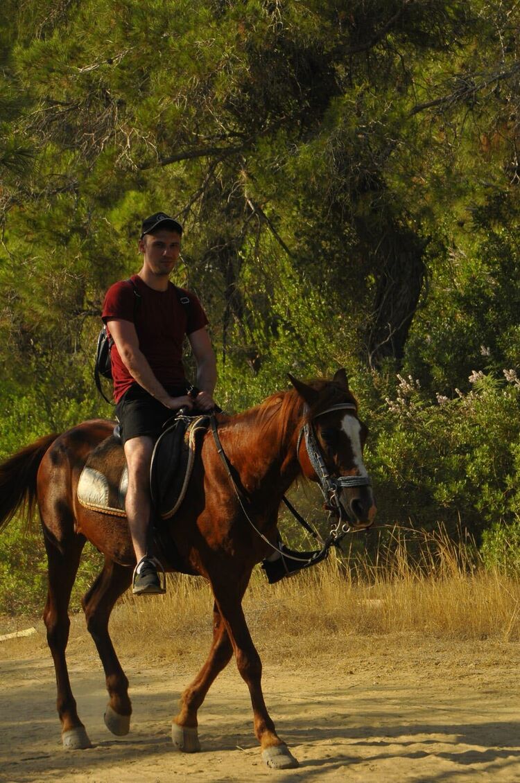 ���� 50919507 ������� ������, 30 ���, ���� ���������� � ������