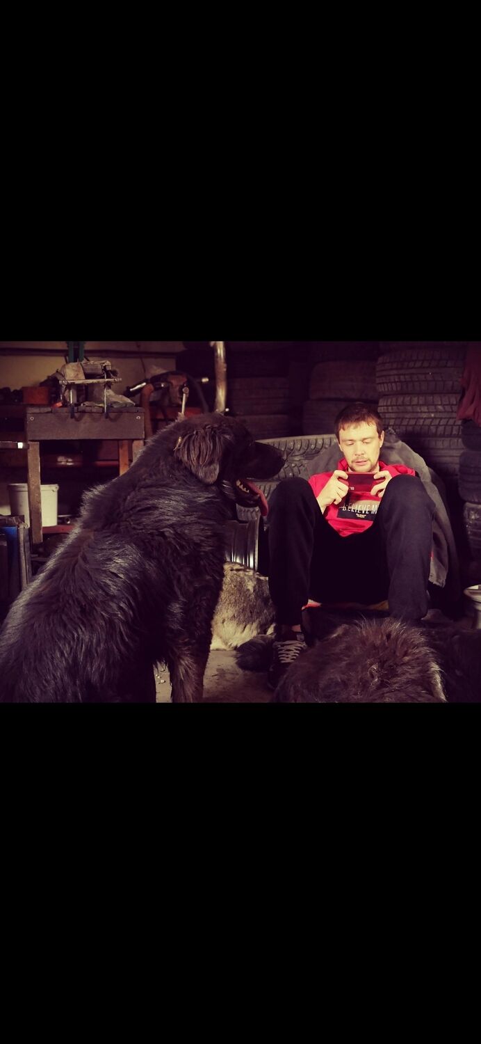  33385407  Chichi, 41 ,    