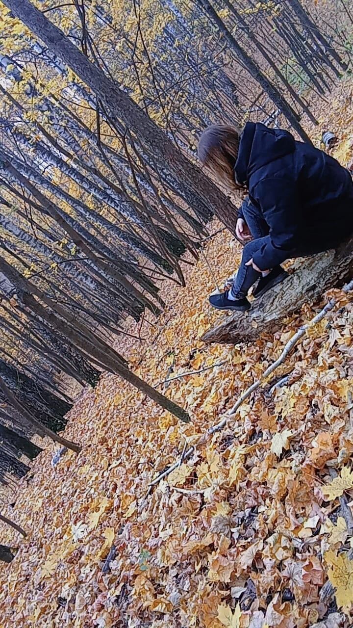 ���������� ���, ���� ������� ������, 28 ���, ������������ ��� ������, ����� � ���������